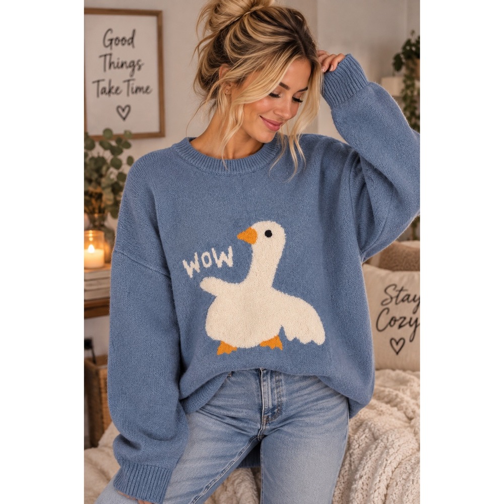 Aelfric Eden Blue Wow Goose Graphic Oversized Knit Sweater Crewneck Large